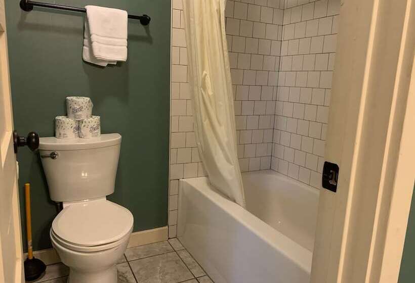 فندق Kanuga Inn & Lodging