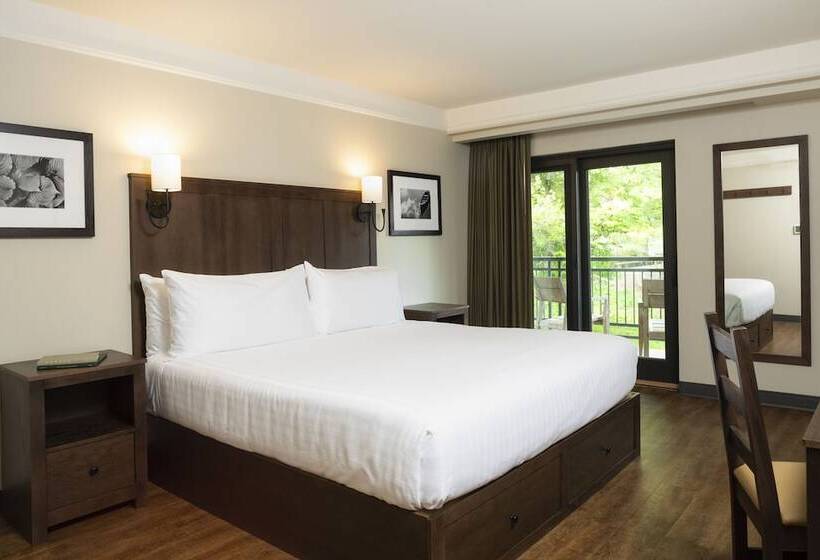 فندق Kanuga Inn & Lodging