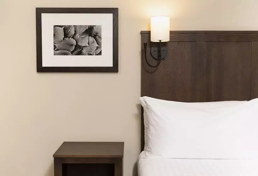 Hotelli Kanuga Inn & Lodging