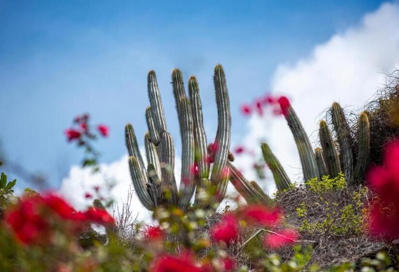 هتل Le Soleil D Or