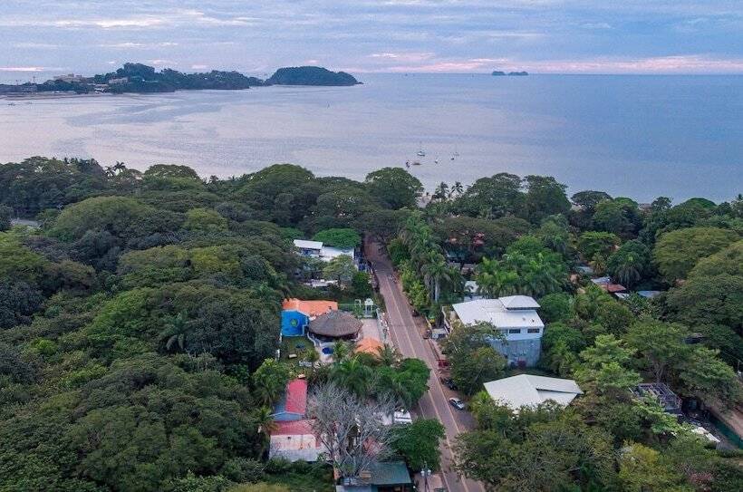 酒店 The Whiskey Howler