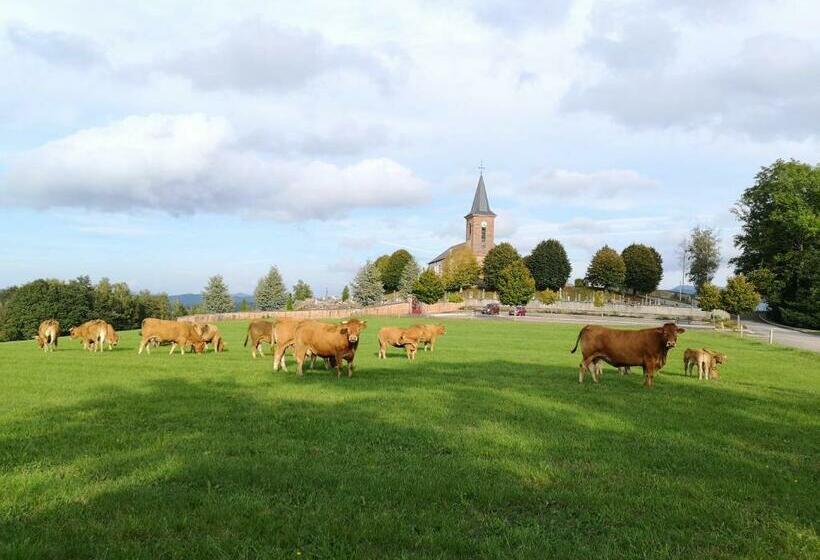 פנסיון Le Cedre Bleu