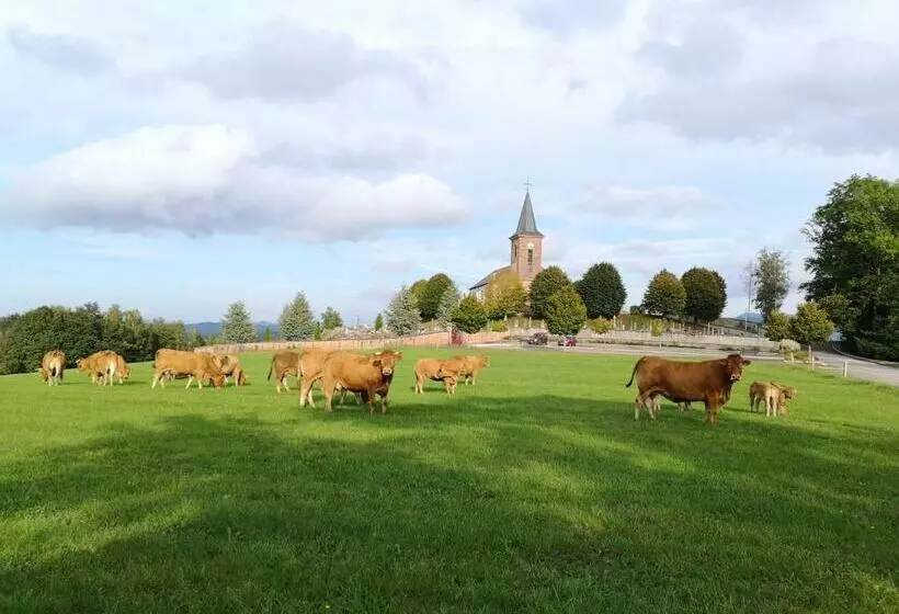 ペンション Le Cedre Bleu