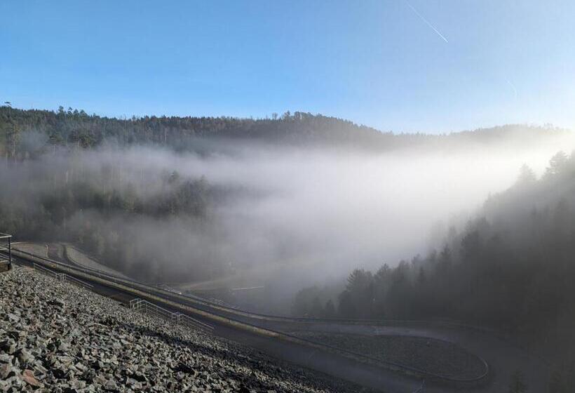 פנסיון Le Cedre Bleu