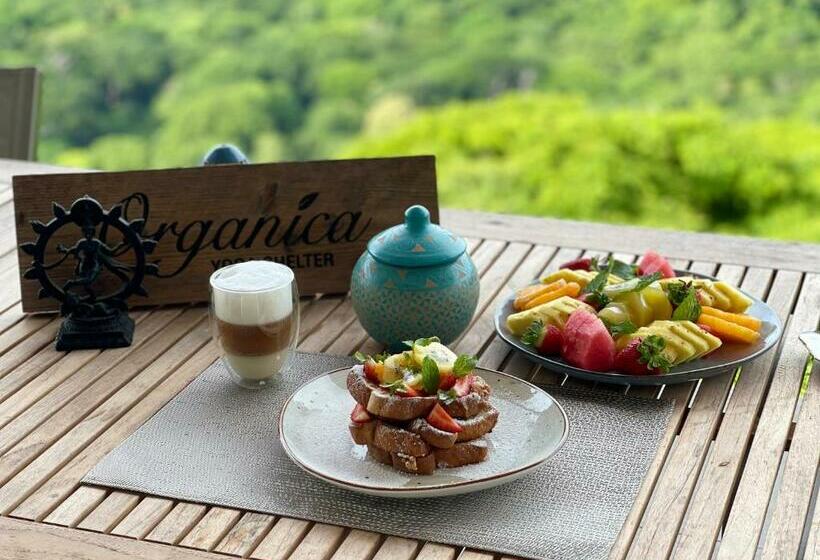 بنسيون Organica Yoga Shelter