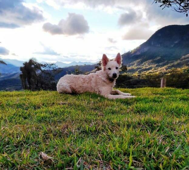 膳宿费 Pousada Encanto Das Estações