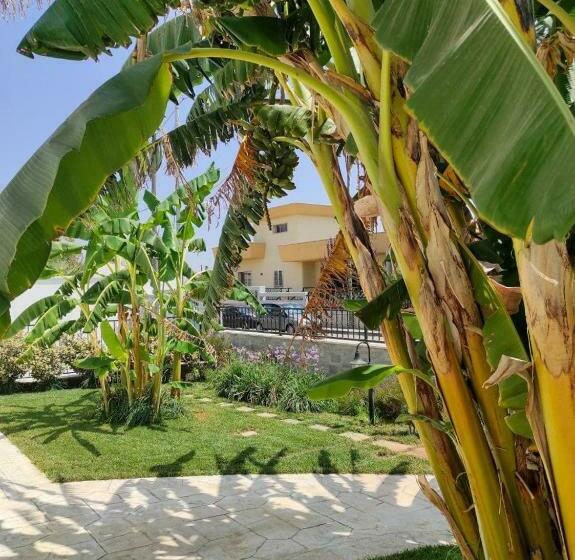 Bed and Breakfast Il Negramaro