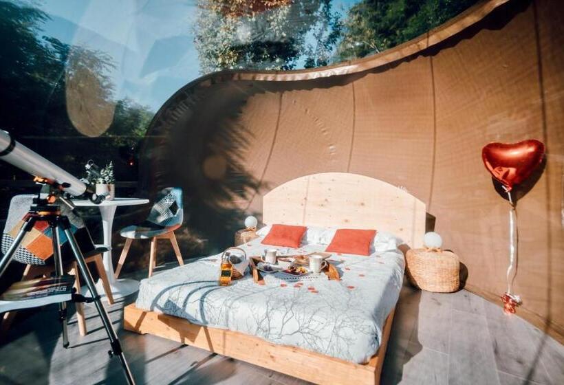 ベッドアンドブレックファースト Maso La Marianna Bubble Glamping In Trentino