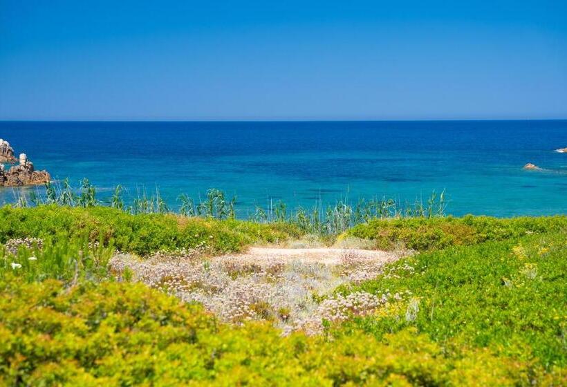 ホテル Amareclub Red Sun Village