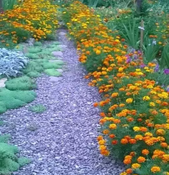 Pension Bat Kivska Hata