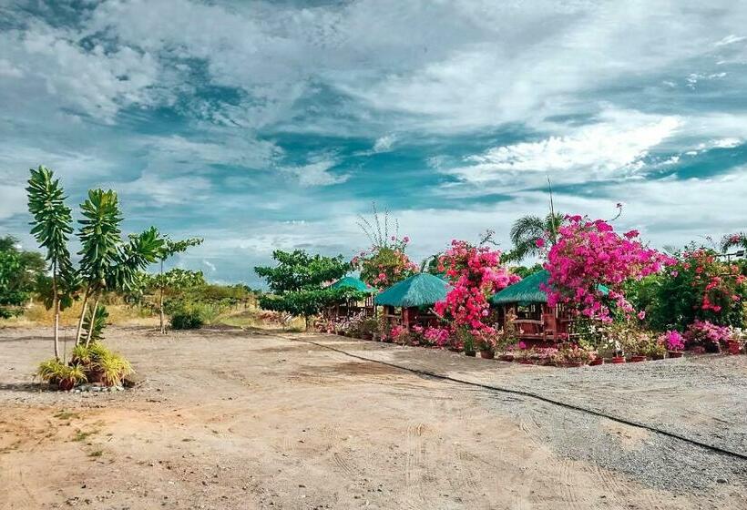 ホテル Airport View