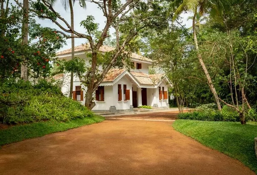 Nyne Hotels   Leela Walauwwa, Induruwa
