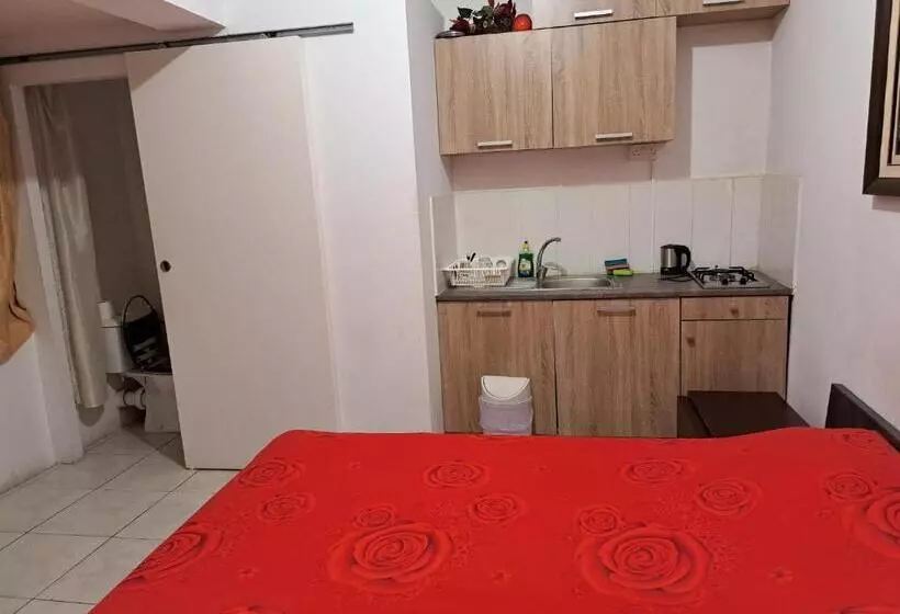 Pension City Large Studio