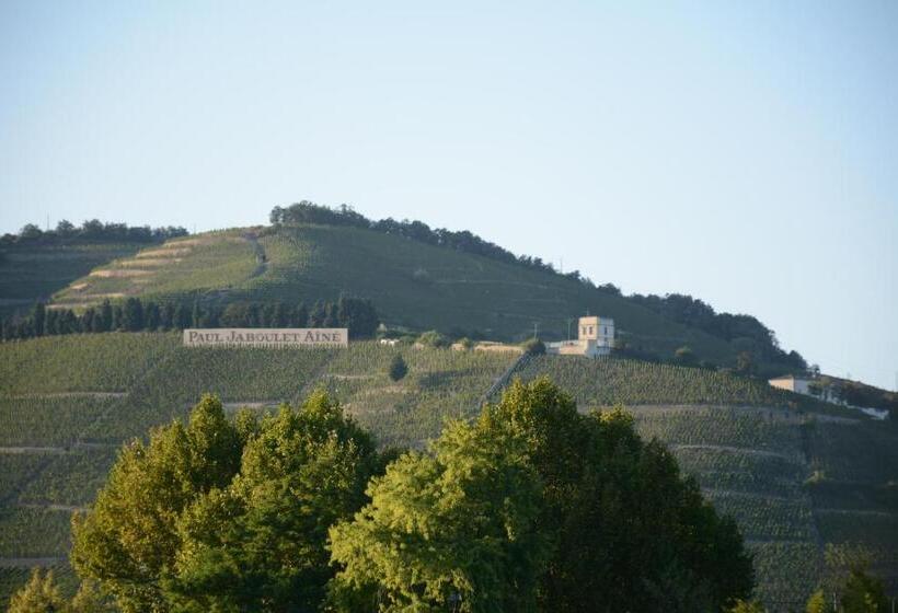 פנסיון L Oiseau Bleu