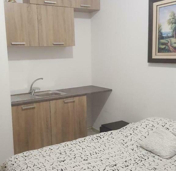 بنسيون City Large Studio