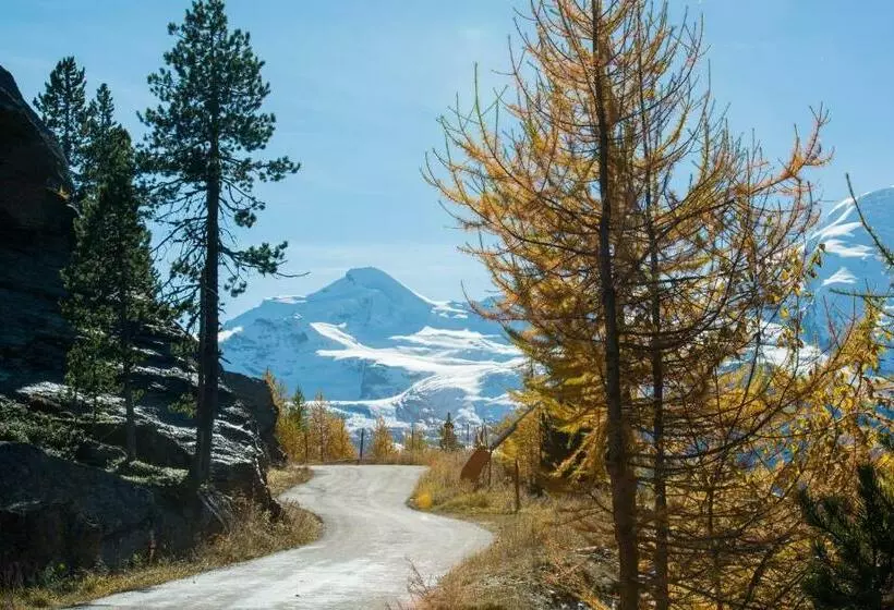 Loftsuite Hotel Saas