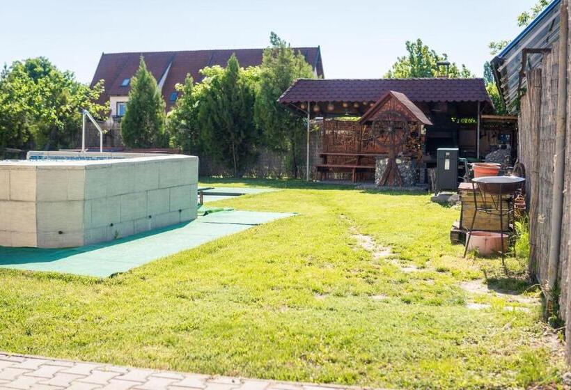 Pensiunea Casa Porojan