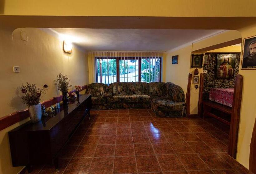 Pensiunea Casa Porojan