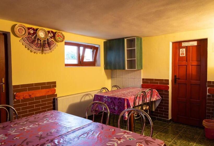 Pensiunea Casa Porojan