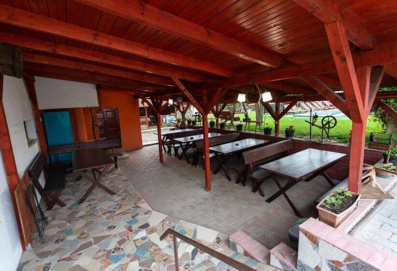 Pensiunea Casa Porojan