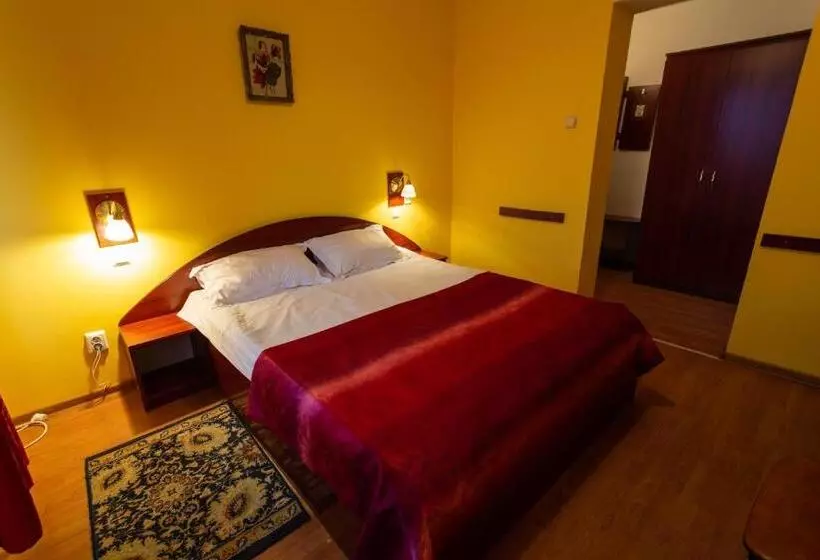 Pensiunea Casa Porojan