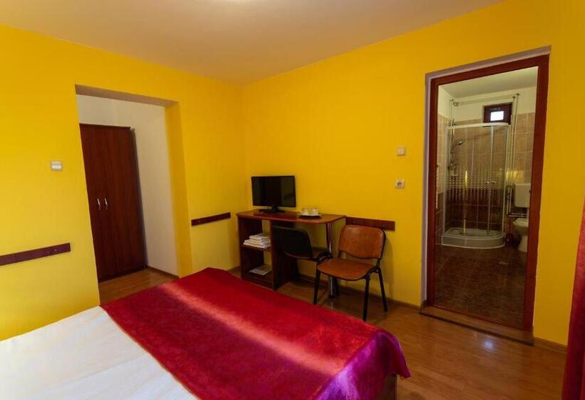 Pensiunea Casa Porojan