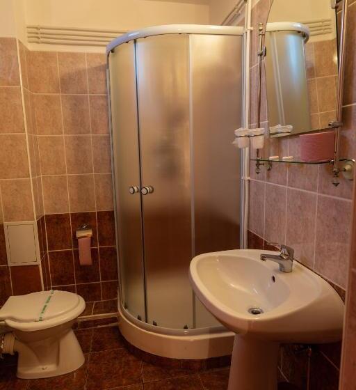 Pensiunea Casa Porojan