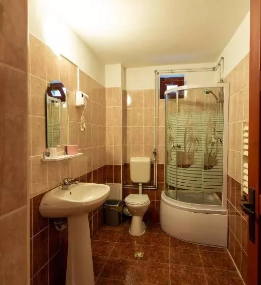 Pensiunea Casa Porojan