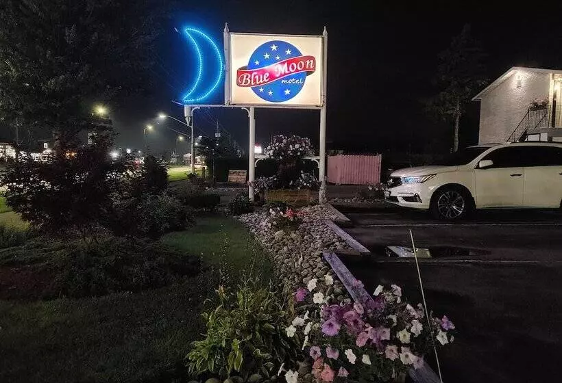 Blue Moon Motel