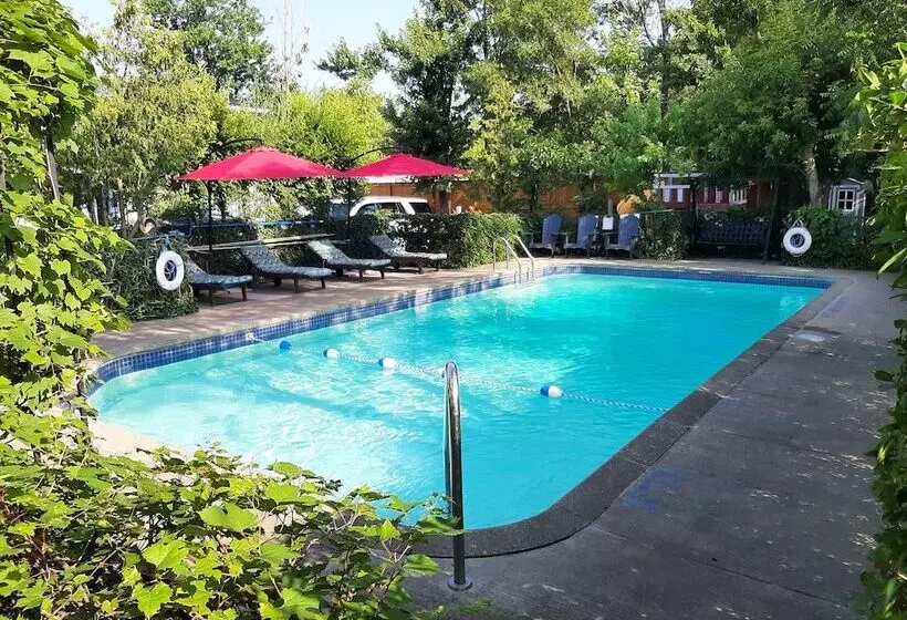Blue Moon Motel