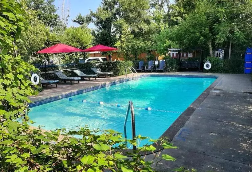 Blue Moon Motel