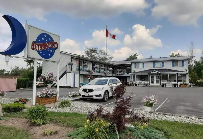 Blue Moon Motel