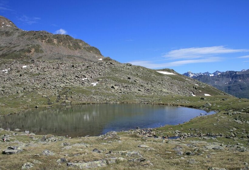 酒店 Alpenaussicht