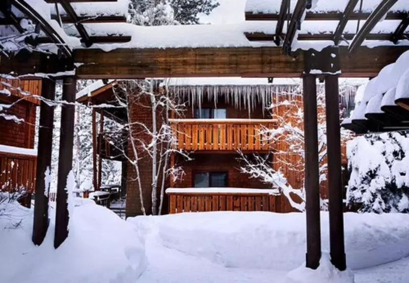 호텔 Gravity Haus Truckeetahoe