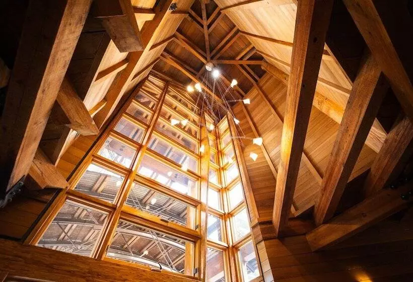 호텔 Gravity Haus Truckeetahoe