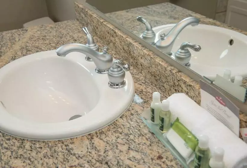 Отель Hilltop Inn Salmon Arm