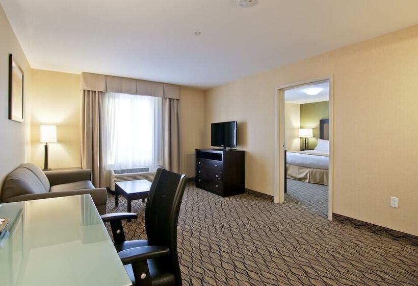 酒店 Holiday Inn Express Fort Saskatchewan, An Ihg