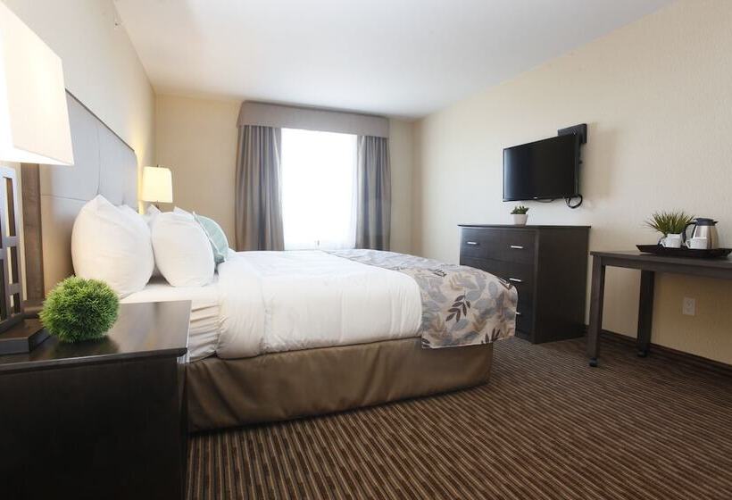 호텔 Pomeroy Inn & Suites At Olds