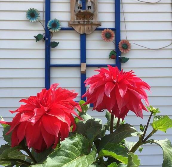 Hôtel Motel Les Voitures D Eau