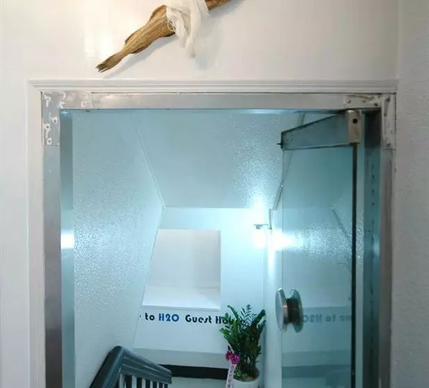 הוסטל H2o Guesthouse