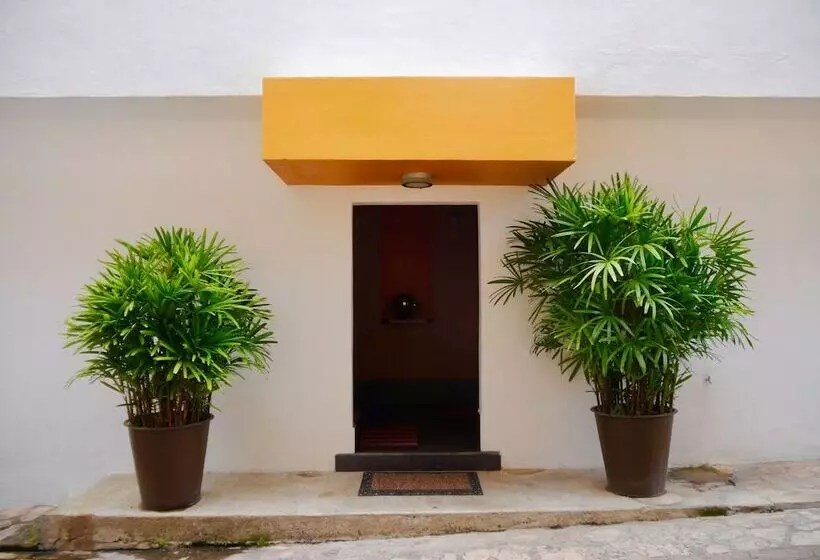 ホテル Casa Cupula Luxury Lgbt Boutique