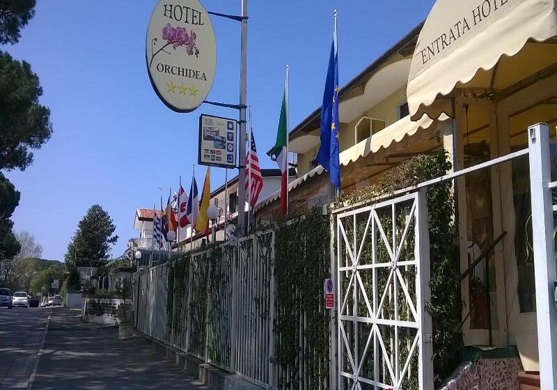 호텔 Orchidea