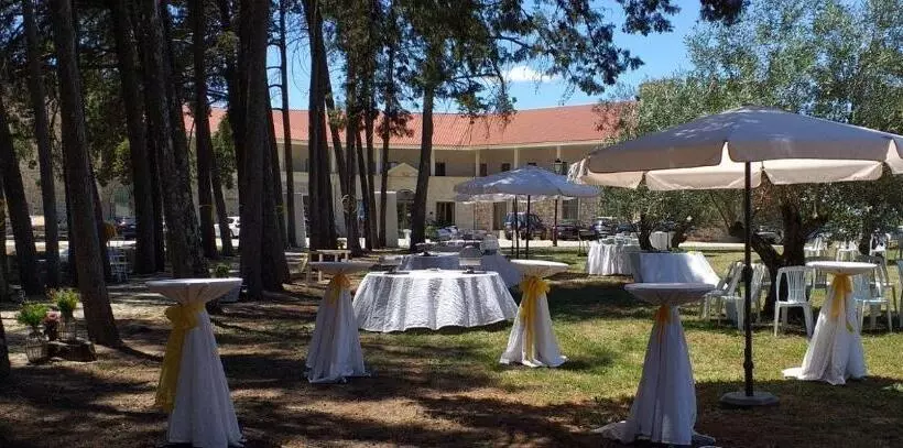 Palace Hotel & Spa Termas De São Tiago