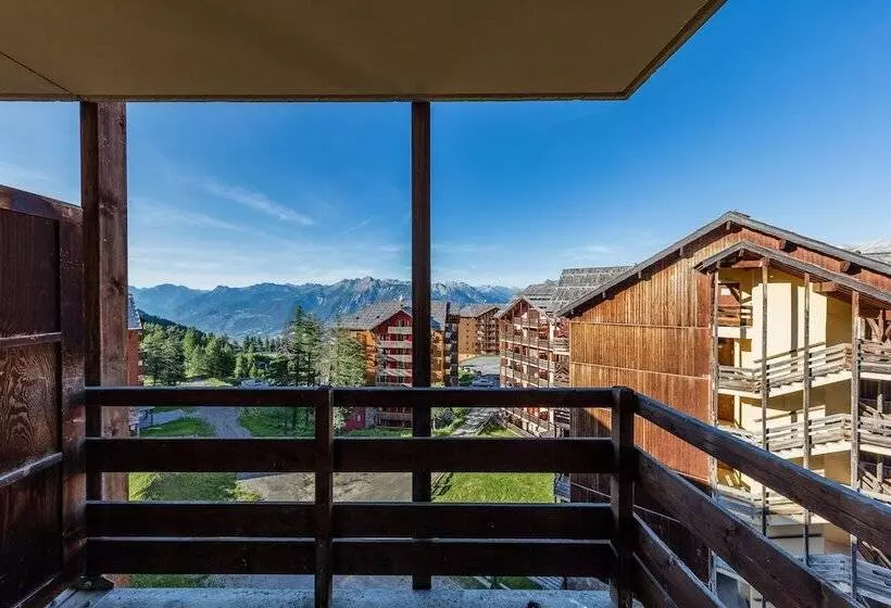 Noemys Castor & Pollux