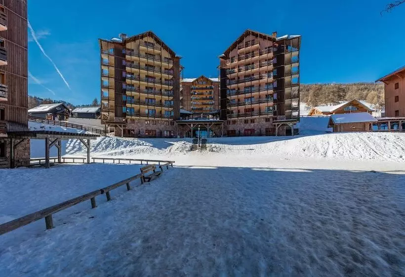 Noemys Castor & Pollux