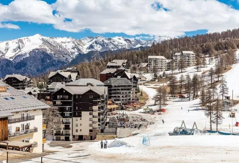 Noemys Castor & Pollux