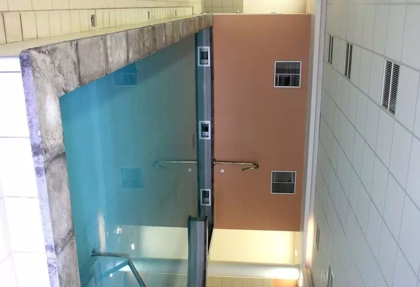 Noemys Castor & Pollux