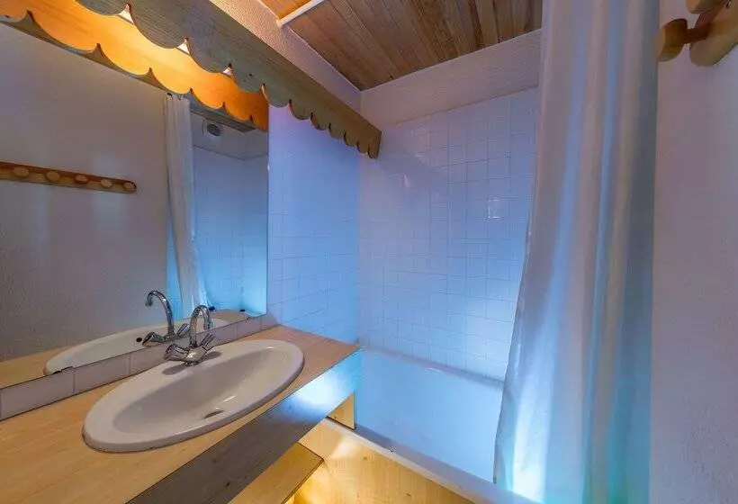 Noemys Castor & Pollux