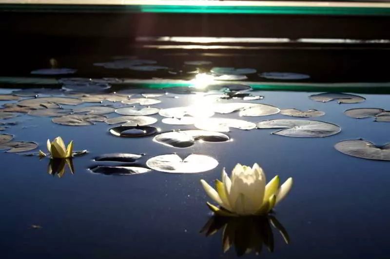 Villa Sandini Hotel & Spa