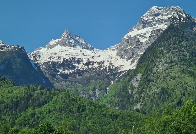 ペンション Apia House